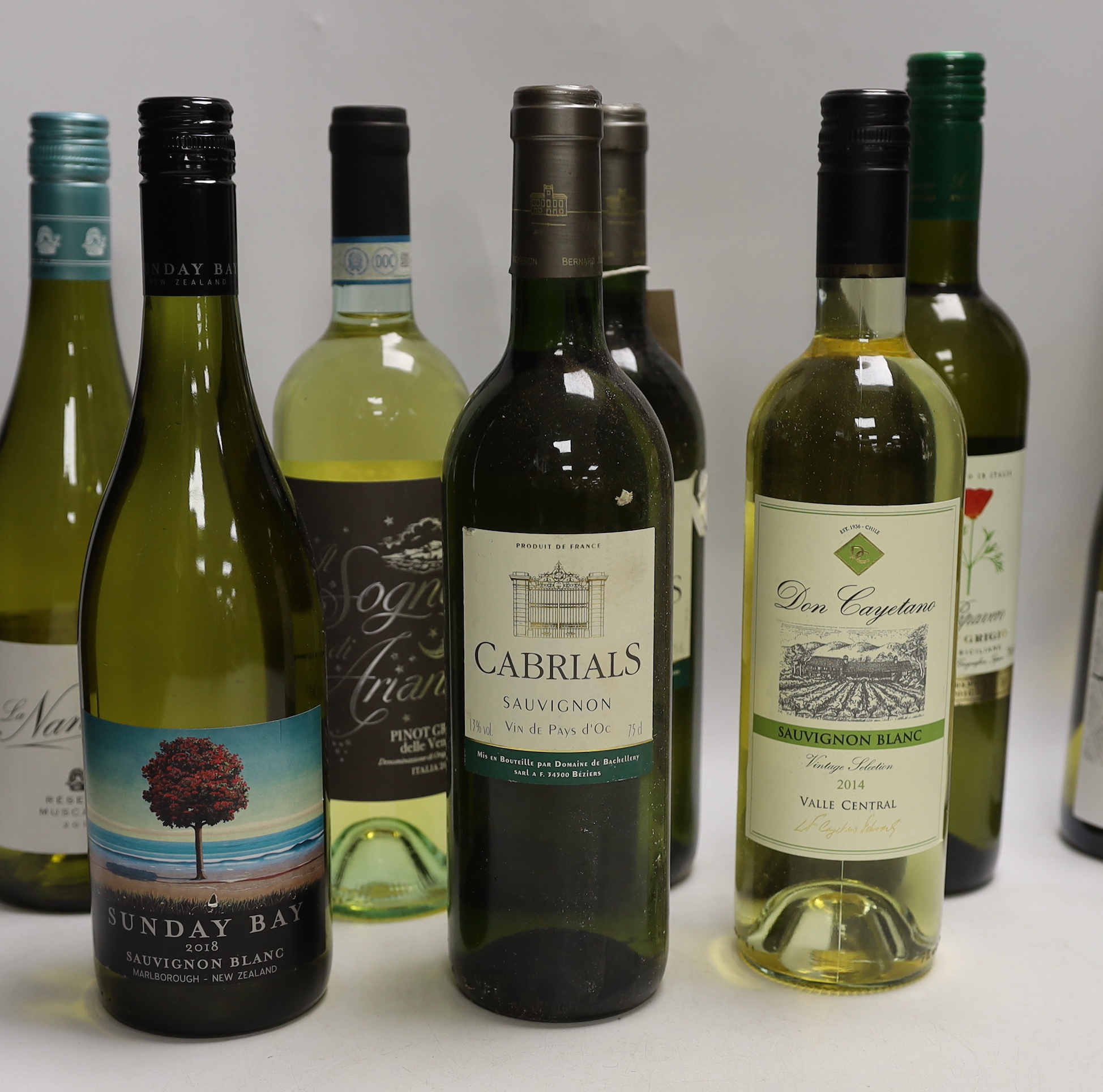 Twelve bottles of various white wines including Muscadet, Touraine, Sauvignon etc.